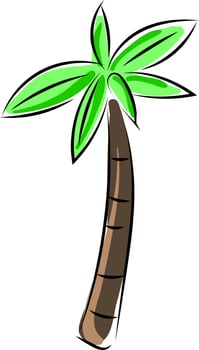 Palm tree, illustration, vector on white background.
