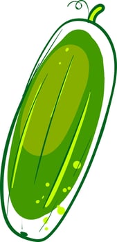 Cucumber drawing, illustration, vector on white background.