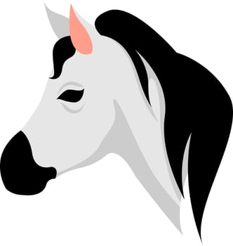 Horse head, illustration, vector on white background.