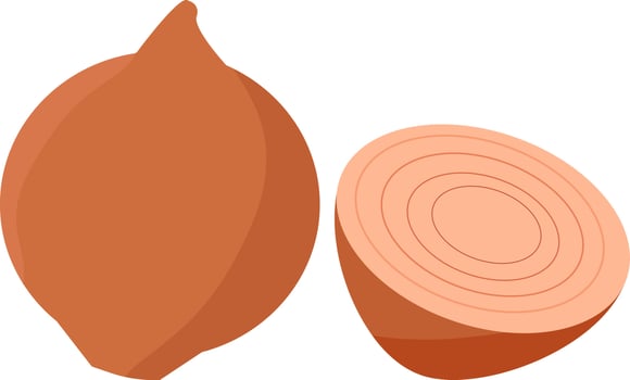 Onions, illustration, vector on white background.