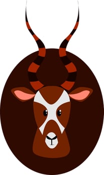 Antelope head, illustration, vector on white background.