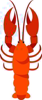 Lobster, illustration, vector on white background.