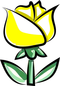 Yellow tulip, illustration, vector on white background.