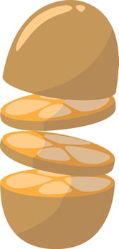 Sliced fruit, illustration, vector on white background.