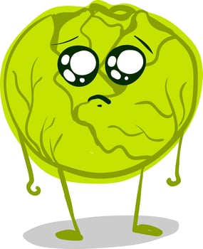 Cabbage sad, illustration, vector on white background.