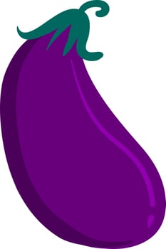 Flat eggplant, illustration, vector on white background.