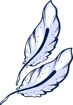 White feathers, illustration, vector on white background.
