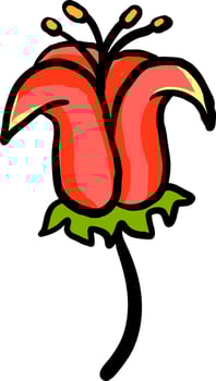 Big beautiful flower, illustration, vector on white background.
