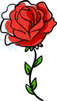 Red rose, illustration, vector on white background.