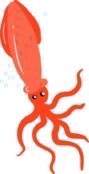 Red squid, illustration, vector on white background.