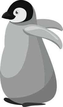 Baby penguin, illustration, vector on white background