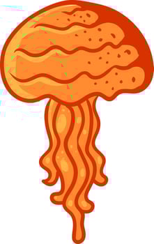Orange jellyfish , illustration, vector on white background