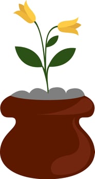 Plant in pot , illustration, vector on white background