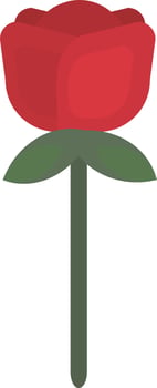 Red rose flower , illustration, vector on white background