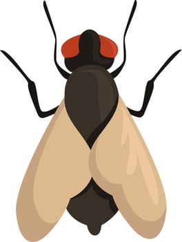 Flying fly, illustration, vector on white background