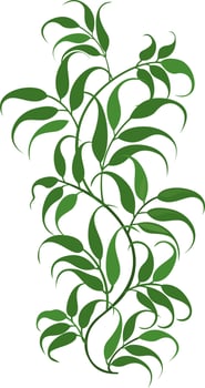 Green leaves, illustration, vector on white background