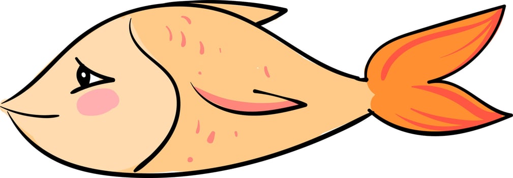 Orange fish, illustration, vector on white background