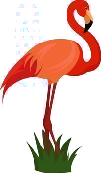 Red flamingo, illustration, vector on white background.