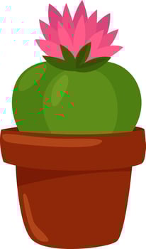 Cactus with a pink flower, illustration, vector on a white background.