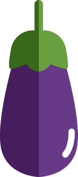 Purple eggplant, illustration, vector on white background.