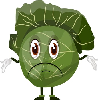 Confused cabbage, illustration, vector on white background.