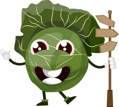 Cabbage with wooden signboard, illustration, vector on white background.