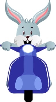 Bunny with scooter, illustration, vector on white background.