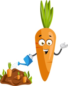 Carrot watering, illustration, vector on white background.