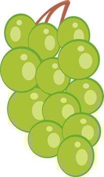 Green grapes, illustration, vector on white background