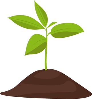 Green plant, illustration, vector on white background