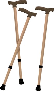 Walking sticks, illustration, vector on white background