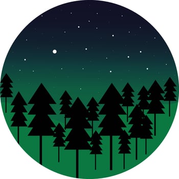 Forest in the night ,illustration, vector on white background.