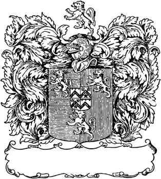 Book-plate or Francis Gwyn of Lansanor, vintage engraving. vector
