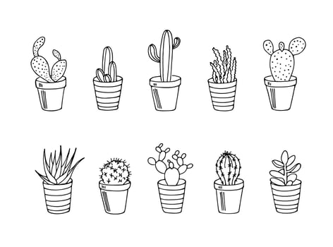 Set of hand drawn cactus in the pots. Vector illustration black and white home plants.