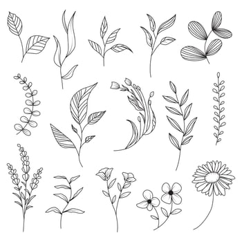 hand drawn floral collection. vector illustration