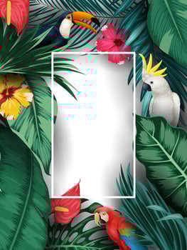 Tropical plants and birds collection set vector