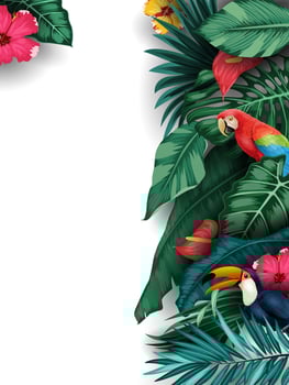 Tropical plants and birds collection set vector