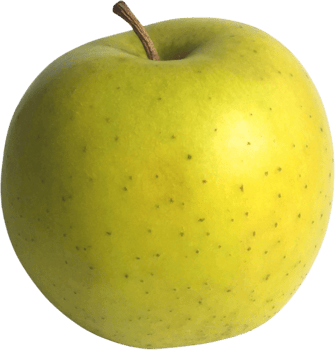 fresh apple fruit with white background png