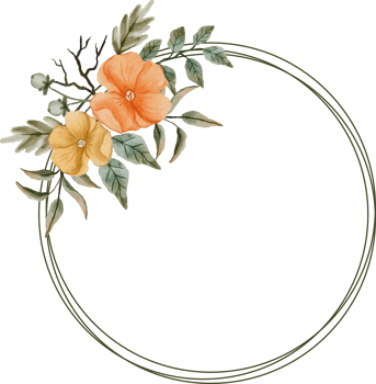 elegant watercolor flower frame png