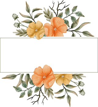 elegant watercolor flower frame png