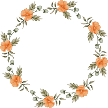 elegant watercolor flower frame png
