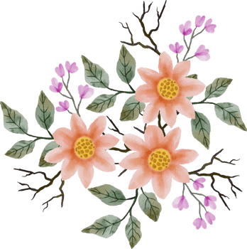 elegant watercolor flower arrangement png