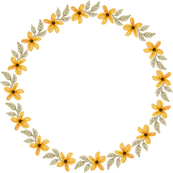 beautiful elegant watercolor flower frame png