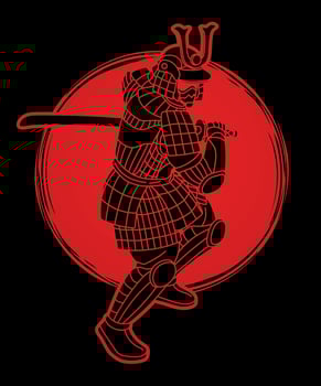 Samurai Warrior or Ronin Japanese Fighter vector