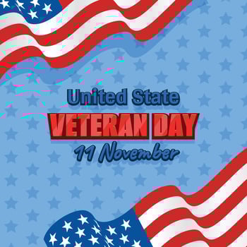 united state veteran day vector