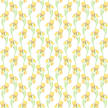 Yellow irises seamless pattern, watercolor illustration of flowers. Hand drawing for printing on fabric, decoration, wallpaper, wrapping paper png