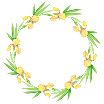 Yellow irises, beautiful delicate wreath of flowers and leaves, watercolor illustration png