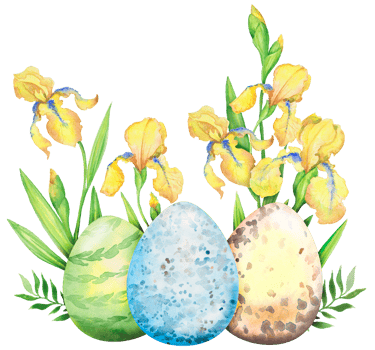Easter floral  composition with yellow iris flowers, branches, leaves and eggs. Bouquet of flowers, watercolor illustration. png