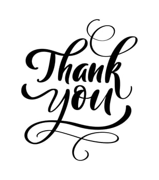 Vector hand drawn vintage text Thank you. Calligraphy lettering illustration for wedding, Thanksgiving Day, greeting card, tag. Isolated on white background