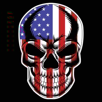 american flag with skull vector
